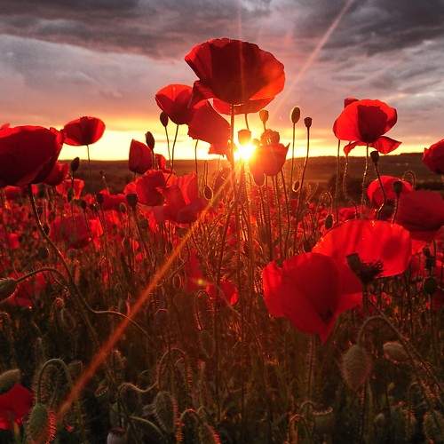 Photo #6147521