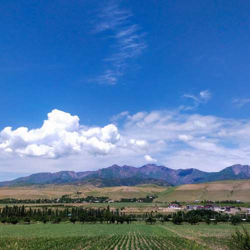 Photo #6147594