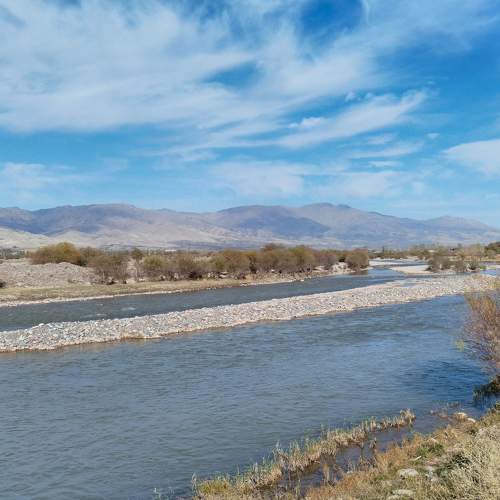 Photo #6147628