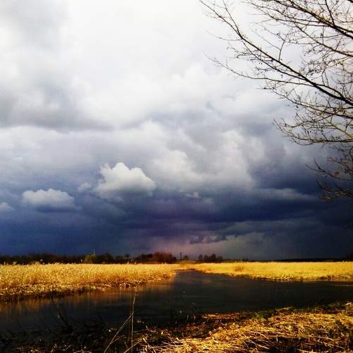 Photo #6147747