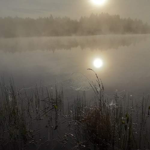 Photo #6147914