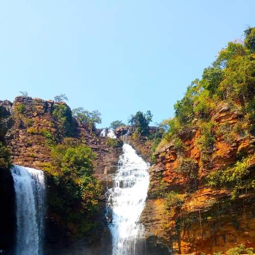 Photo #6147931