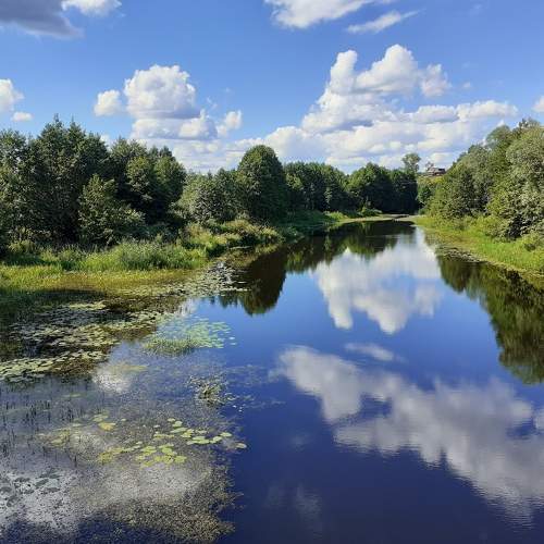 Photo #6147968