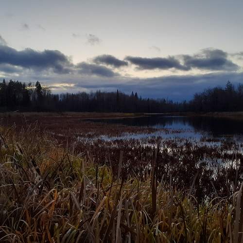 Photo #6148013