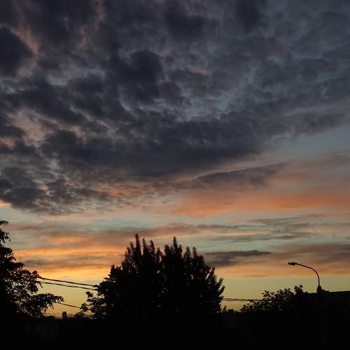 Photo #6148069
