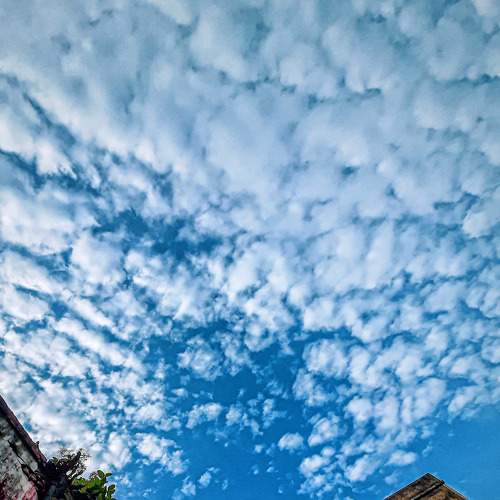 Photo #6148248