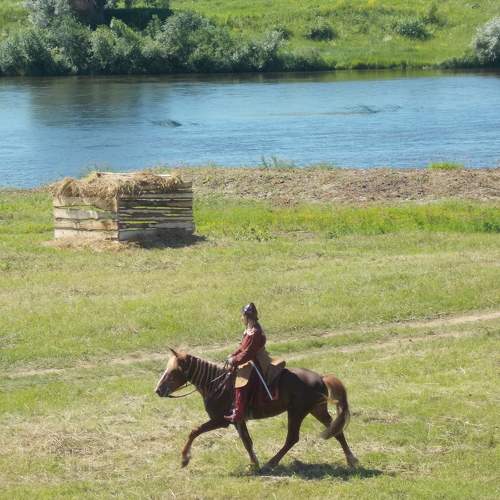 Photo #6148261