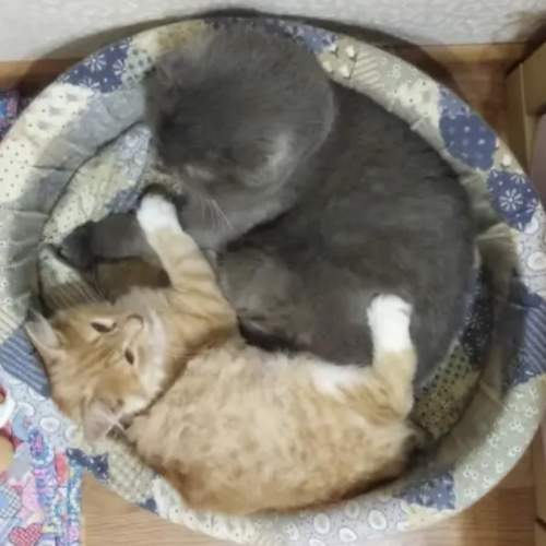 Photo #6148324