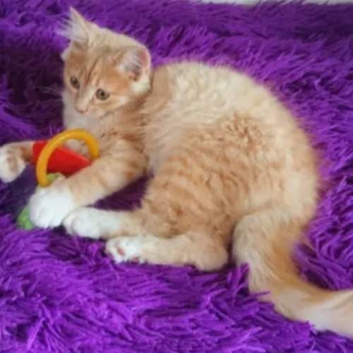 Photo #6148326