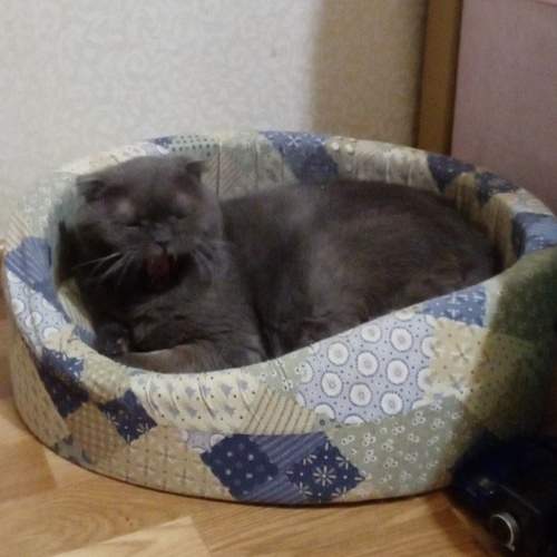 Photo #6148329