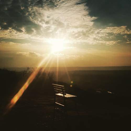 Photo #6148475