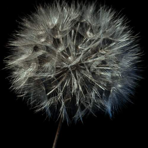 Photo #6148498