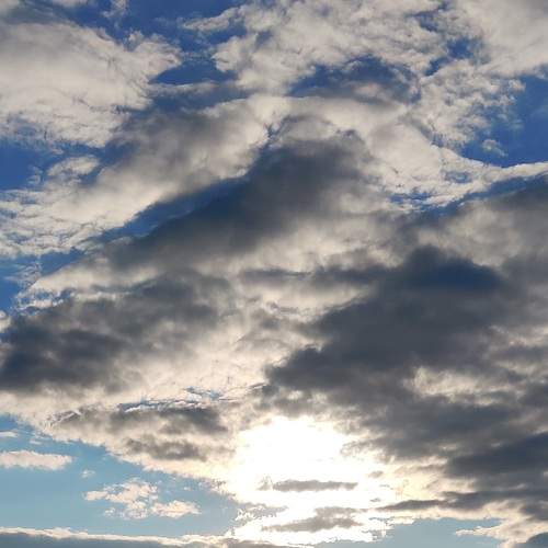 Photo #6148579