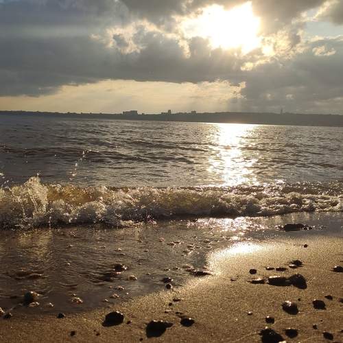 Photo #6148631