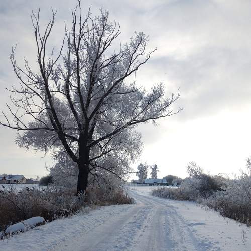Photo #6148643