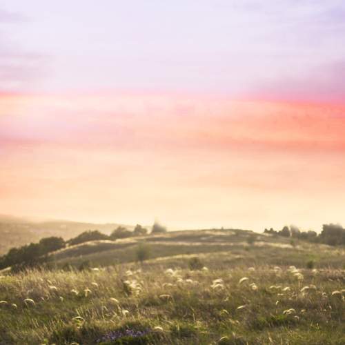 Photo #6148898