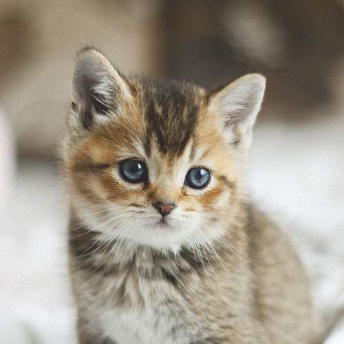 Photo #6149278