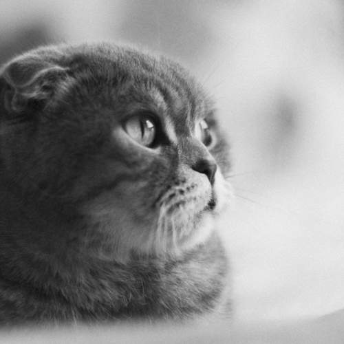 Photo #6149279