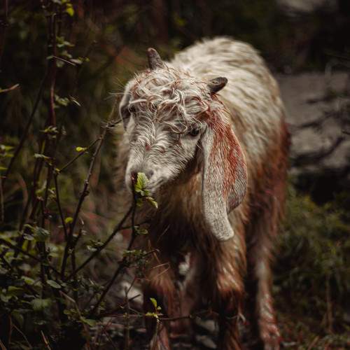 Photo #6149460