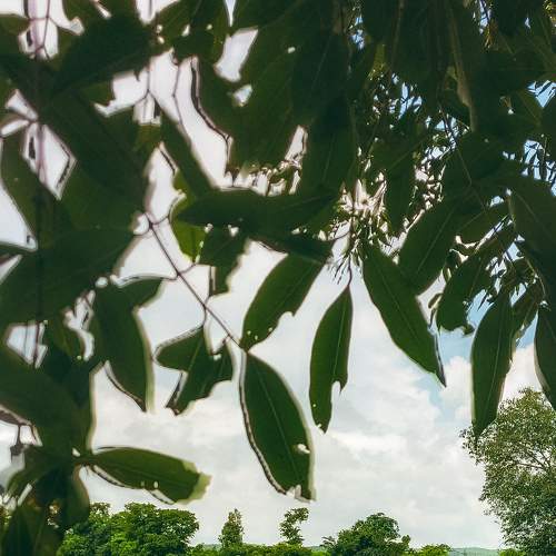 Photo #6149763