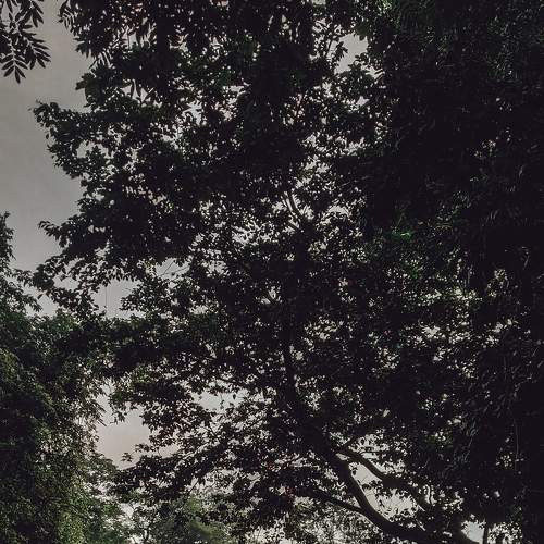 Photo #6149775