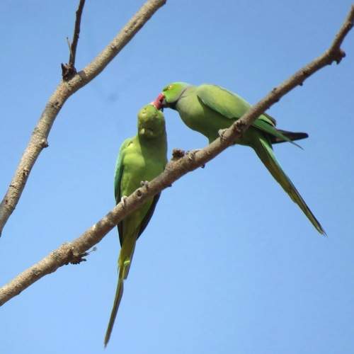 Photo #6149887