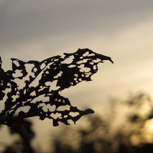 Photo #6150051