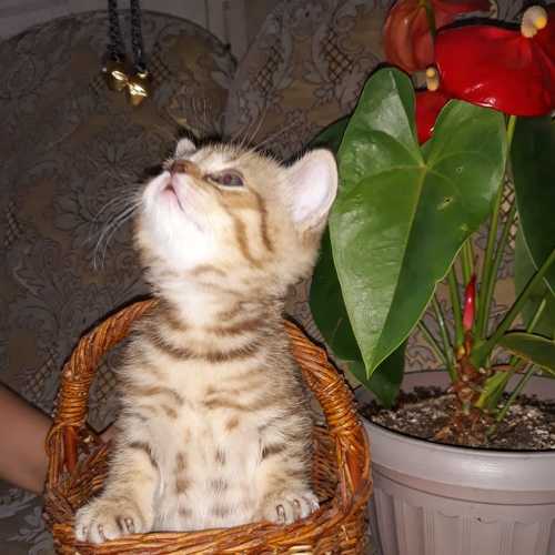 Photo #6150137