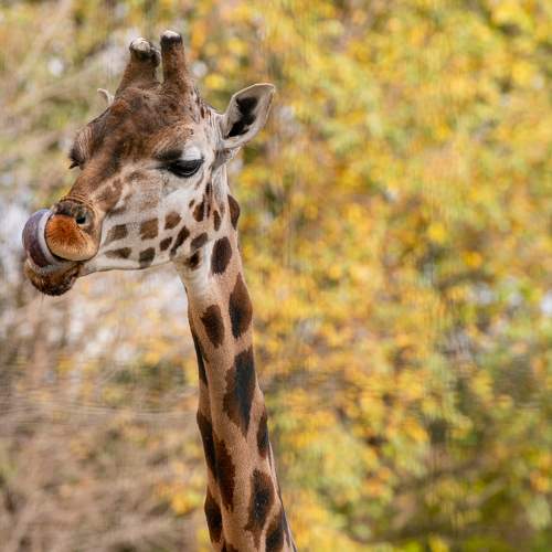 Photo #6150466