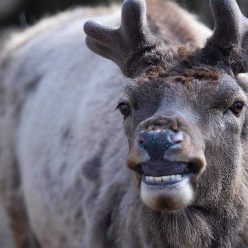 Photo #6150493