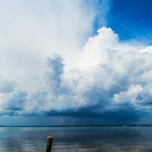 Photo #6150501