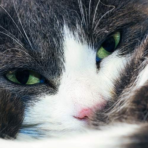 Photo #6150989