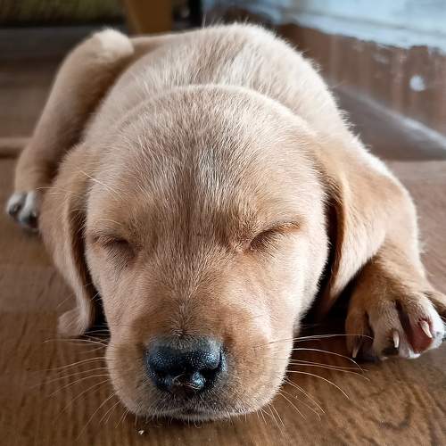Photo #6151063