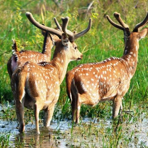 Photo #6151098