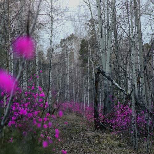 Photo #6151114