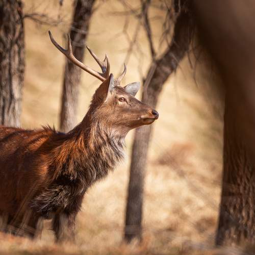 Photo #6151383