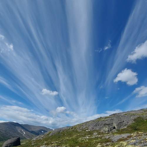 Photo #6151517