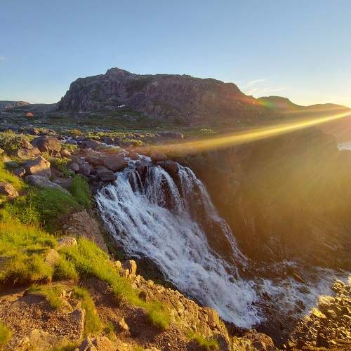 Photo #6151625