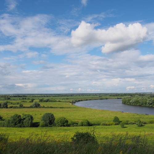Photo #6151662