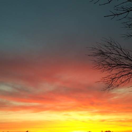 Photo #6151700