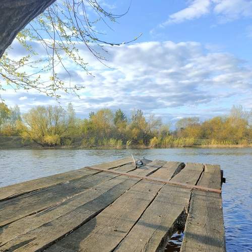 Photo #6151749