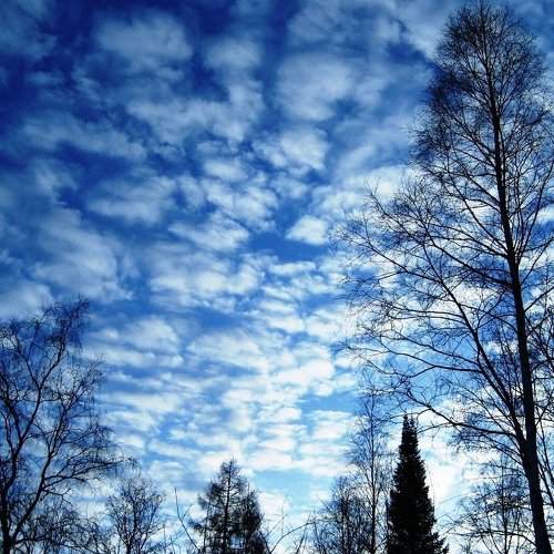 Photo #6151751