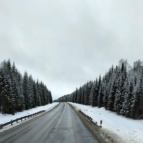 Photo #6151758