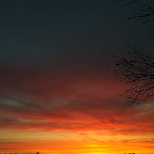 Photo #6151768