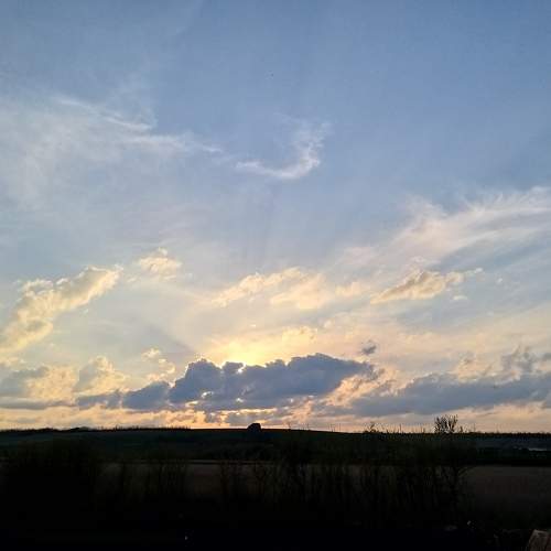 Photo #6151773