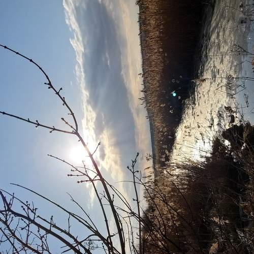 Photo #6151783