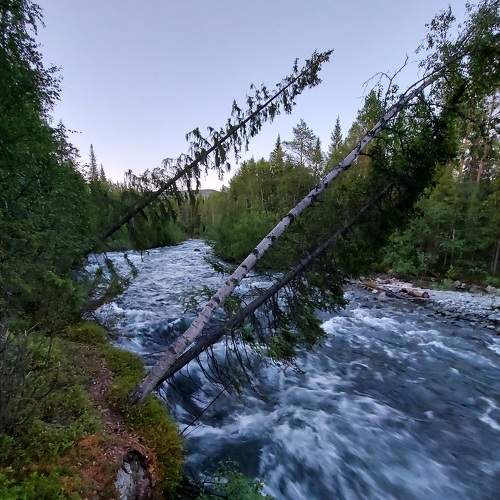 Photo #6151798