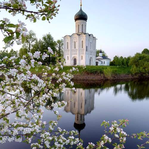 Photo #6152079