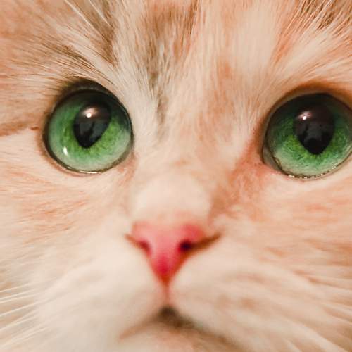 Photo #6152095