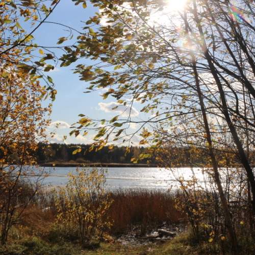 Photo #6152107
